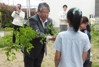 木の引き渡し