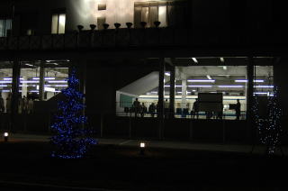 流山おおたかの森駅前にイルミネーションツリー