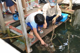 タコの餌やり体験