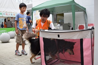 ケージに入る犬の写真