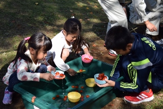 トマトすくいをする子ども達の写真