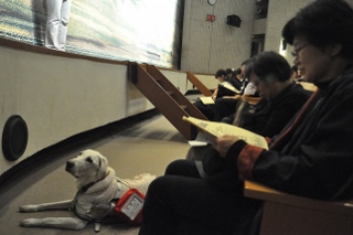 盲導犬と参加者
