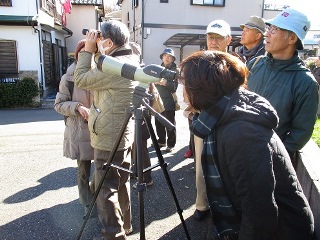 スコープをのぞく参加者の写真