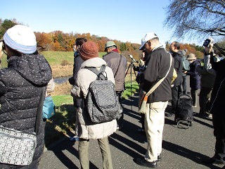 利根運河の野鳥を観察する参加者の写真
