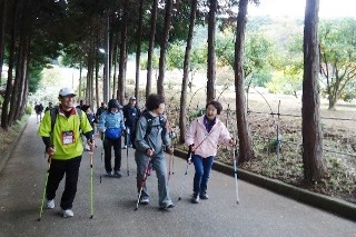 木々の中を歩く参加者の写真