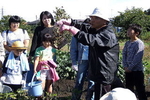 親子で楽しく落花生の収穫