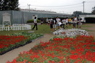 花をプレゼント