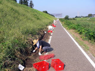 全長700メートルに植栽