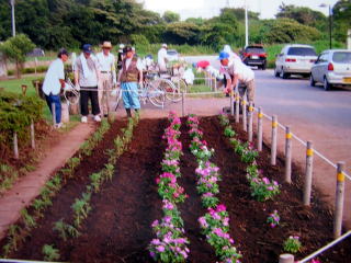 きれいな花壇を造りました