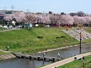 利根運河の写真