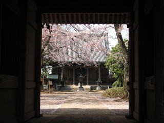 東福寺の写真