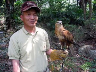 鳥を腕に止まらせている写真