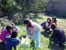 食べられる野草を探す小学生