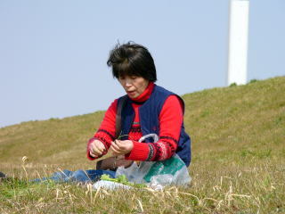 のどかな土手で野草摘みをする奥さんの写真