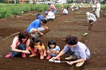 家族野菜作り教室の写真