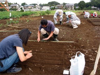 農作業をする参加者の写真