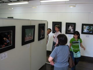作品を見学する来場者の写真