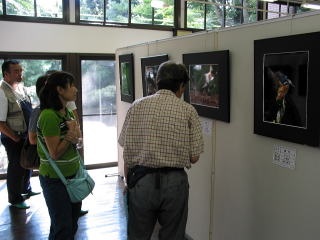 作品に見入る来場者の写真