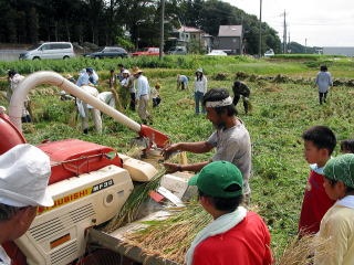 指導を受ける参加者の写真