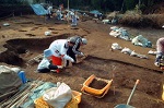 発掘作業に勤しむ流山北高校の生徒