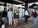 盲導犬と庁舎前に集まる参加者
